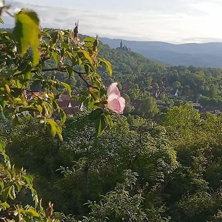Ferienhaus Paulina Dom wakacyjny Wernigerode